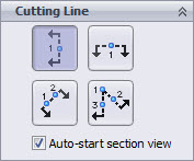 Auto-start section view