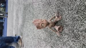 Baby Groot found in the wild at SOLIDWORKS World 2017 sww17